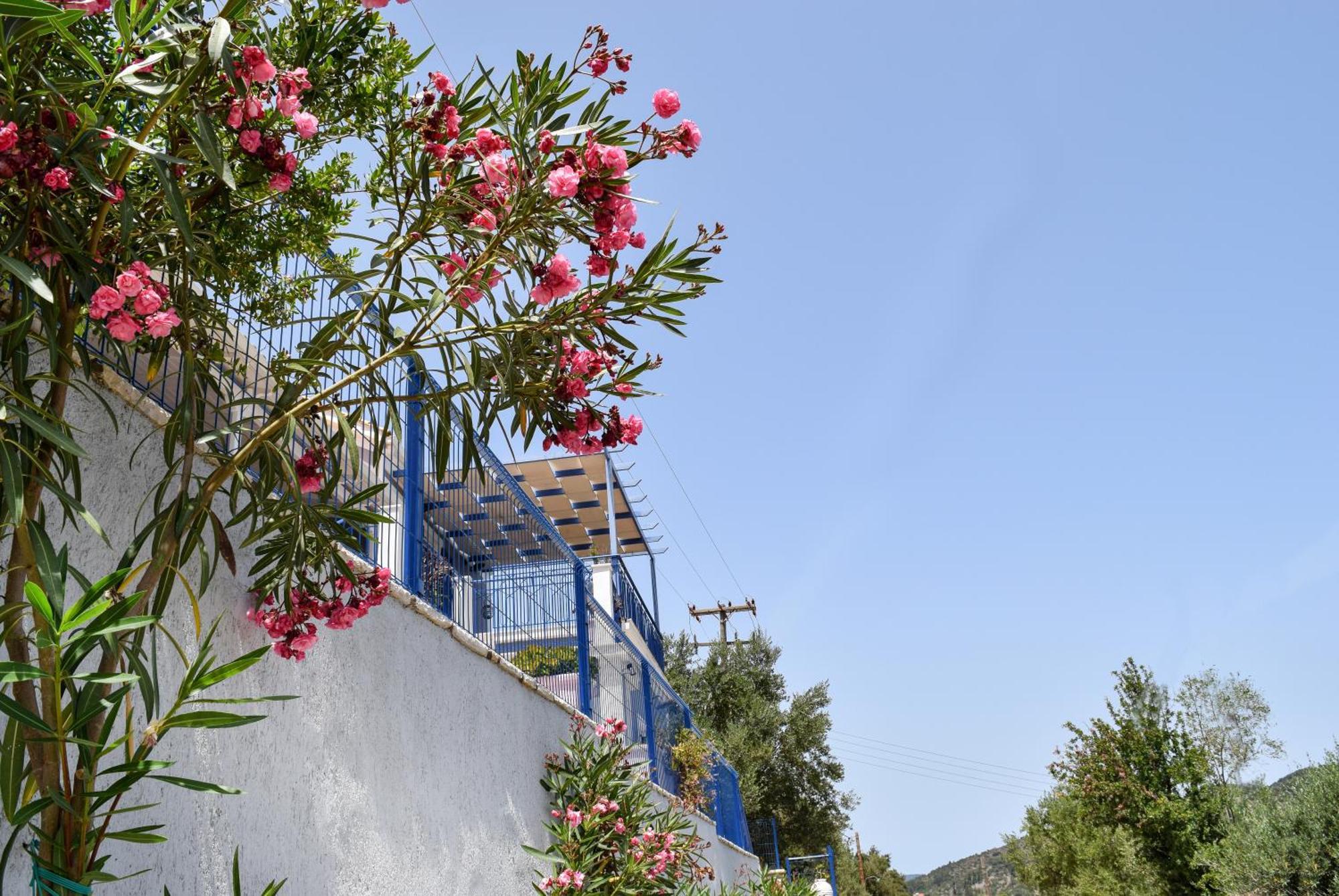 Val Di Compare Apartments Vathy  Exterior photo